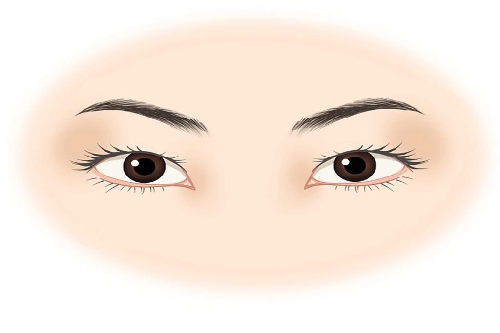 چشم های مونولید و بهترین مدل خط چشم