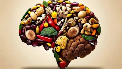 غذاهایی که می‌خوریم می تواند تاثیر زیادی بر ساختار و سلامت مغز ما داشته باشند. رژیم غذایی تقویت کننده مغز می‌تواند عملکرد کوتاه مدت و بلند مدت مغز را بسیار بهبود ببخشد. مغز یک اندام انرژی بر است و حدود ۲۰ % از انرژی دریافتی بدن را مصرف می‌کند. بنابراین برای حفظ تمرکز در طول روز به سوخت زیادی نیاز دارد