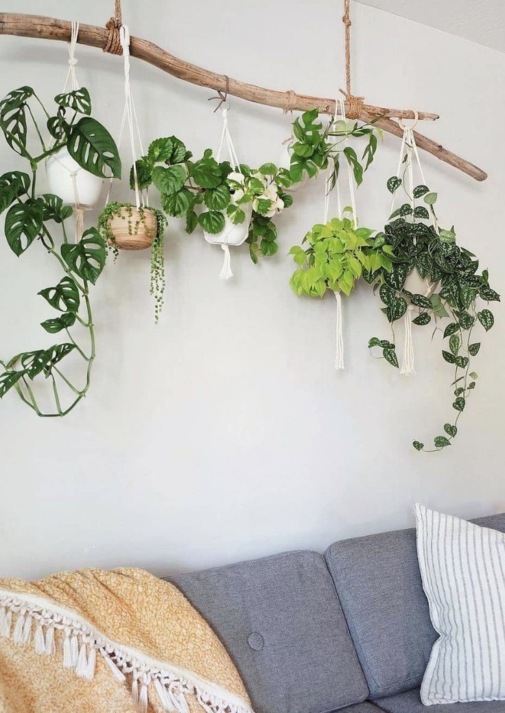 تزئین پشت تخت با گیاهان آپارتمانی 